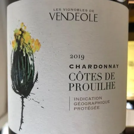 Jade Villa Lasserre-de-Prouille